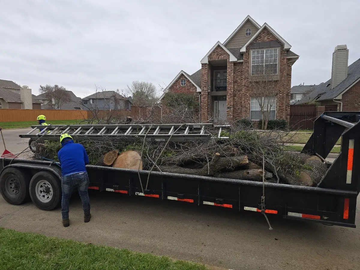 Expert Tree Removal with proper safety equipment in Wingate
